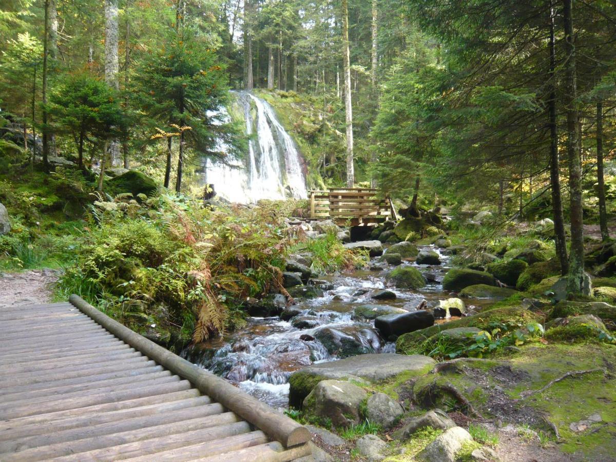 Chalet Les Moraines 8 Le Tholy