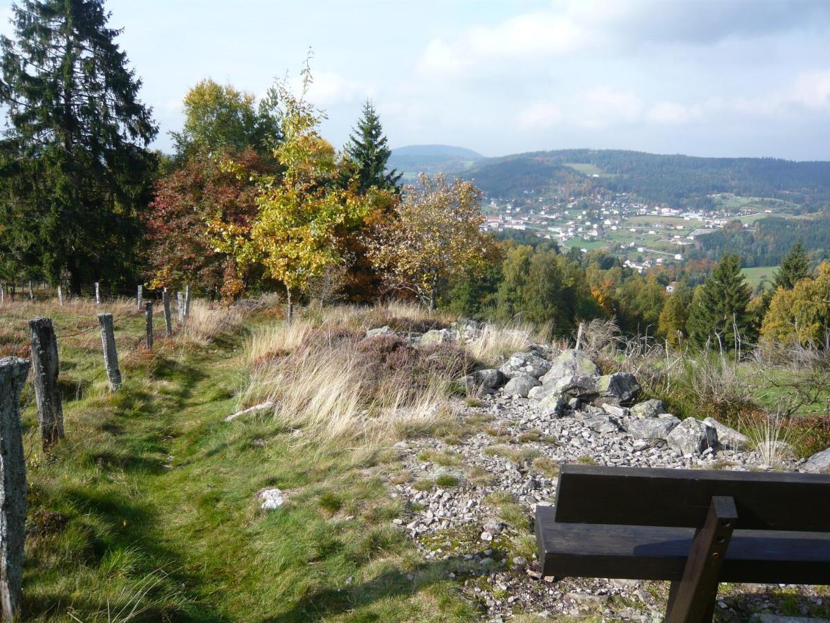 Chalet Les Moraines 8